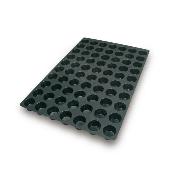 SQ007.01